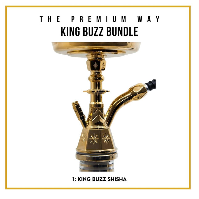 King Buzz Beginner's Shisha Kit